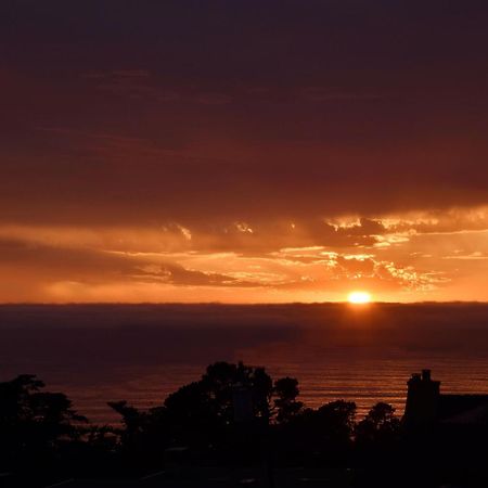 Horizon Inn & Ocean View Lodge Carmel-by-the-Sea Pokój zdjęcie